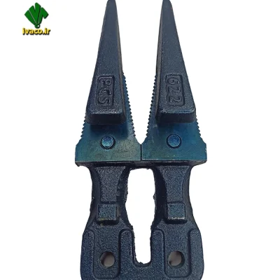 انگشتي کوتاه گندم کله پهن
