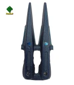 انگشتي کوتاه گندم کله پهن - Image 2